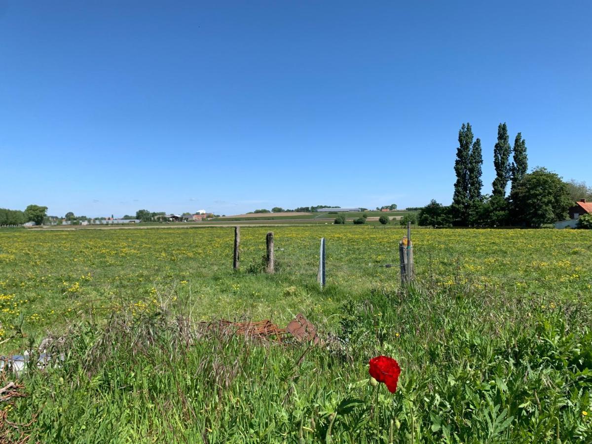 Villa Koekeloeren Hooglede Esterno foto